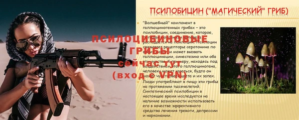 спайс Алексин
