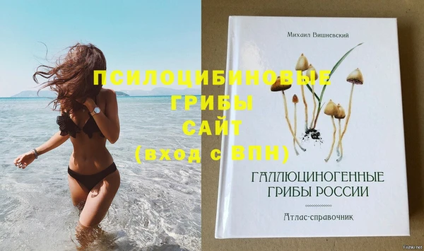 mix Алексеевка