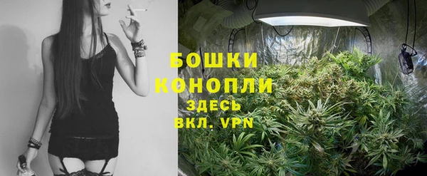 спайс Алексин