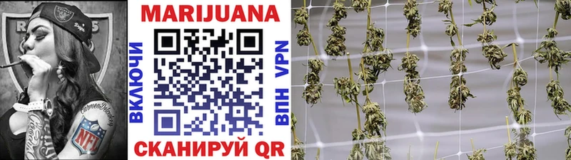 Марихуана White Widow купить Новоузенск